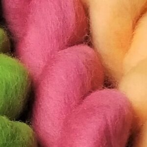 Wool Fleece for Spinning and Felting